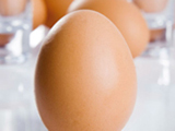 avicultura-Sostenibilidad-de-la-produccion-futura-de-huevos-Konstantinos-Georgitzikis-German-Giner-European-IPPC-Bureau