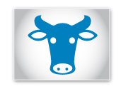 logo_siag-avicultura-vaca