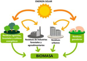 biomasa-ecoeficenter