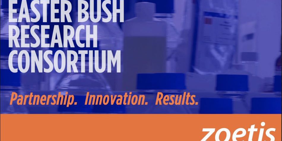 Acuerdo entre Easter Bush Research Consortium y Zoetis