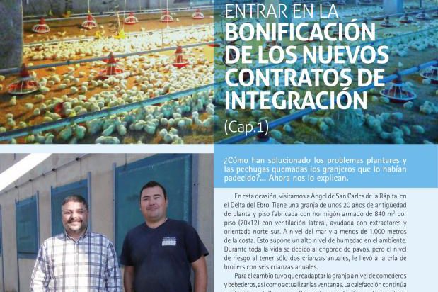Contratos integración avicultura carne bonficaciones