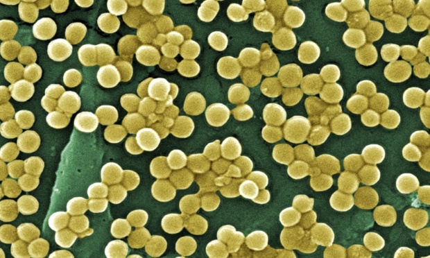 resistencia-bacterias