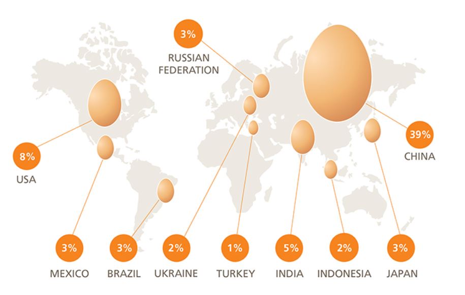 principales-paises-productores-huevo-mundo