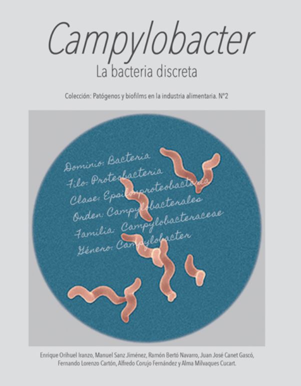 campylobacter-la-bacteria-discreta
