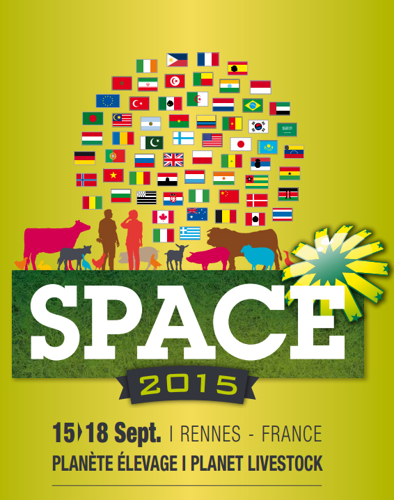 space_2015
