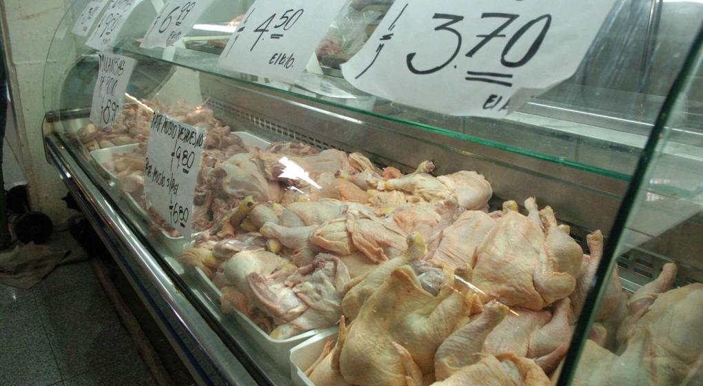 crisis del sector avícola en Argentina