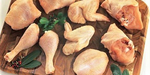 Inversiones en Rusia para incrementar la producción de carne de ave -  Avicultura