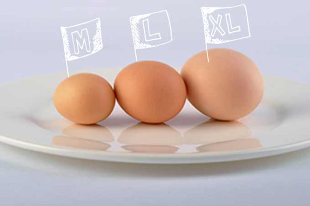 Hambre cielo entregar Reino Unido: La obsesión por huevos grandes está distorsionando el mercado.  - Avicultura