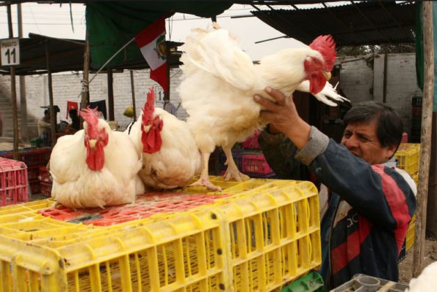 El consumo de pollo en Perú se acerca a los 50 Kg por peruano y año