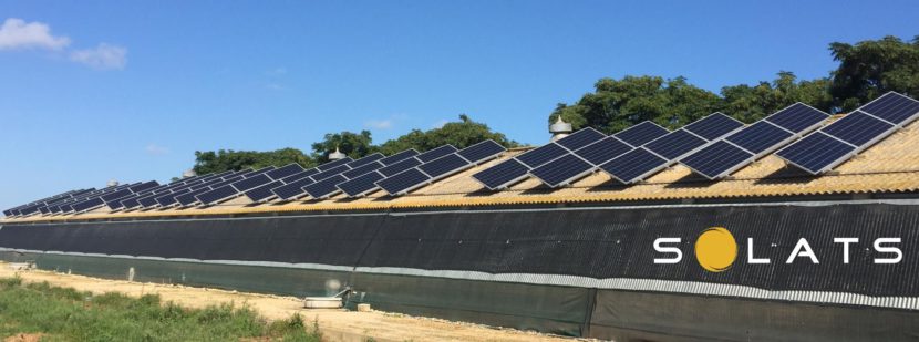 Paneles Solares para Granjas: 7 Ventajas de una Instalación