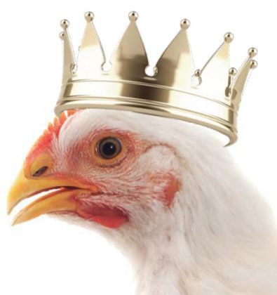 El pollo es el Rey en el consumo mundial de proteína animal - Avicultura