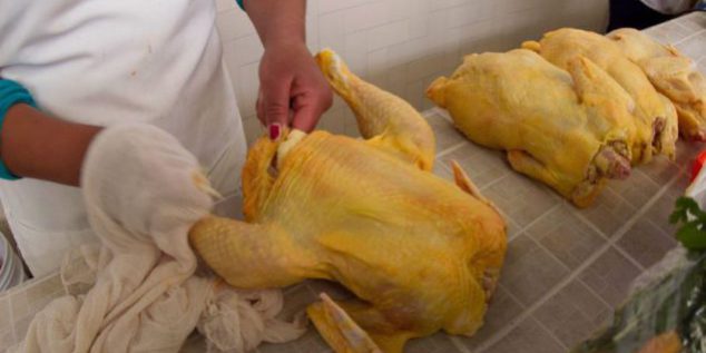 La producción avícola mexicana subirá en 2021 al ser la proteína más  popular - Avicultura