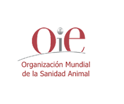 La OIE lanza el Sistema Mundial de Información Zoosanitaria (OIE-WAHIS). -  Avicultura